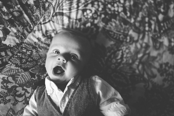 Saul 3 months | Nov 2014-9